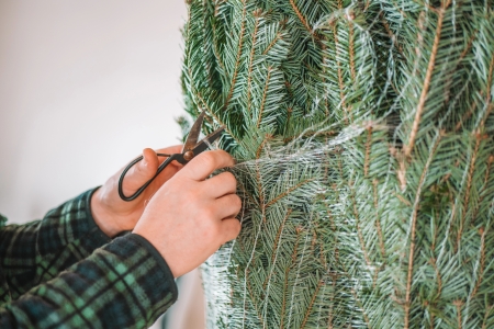 Christmas tree delivery setup linnwood nj