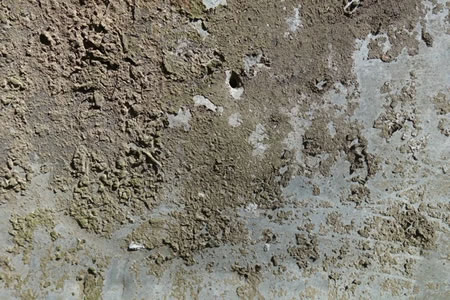 Efflorescence removal
